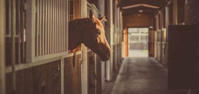 Tri ideje za domaća putovanja u ruralnoj Slavoniji