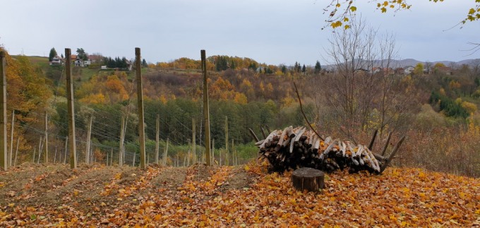 Evo zašto je izlet u Zagorje uvijek dobra ideja