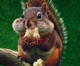 Cinehill i ovog ljeta donosi pravu filmsku feštu